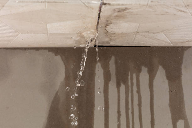 Professional Structural Drying technician working in Bluff Dale, TX
